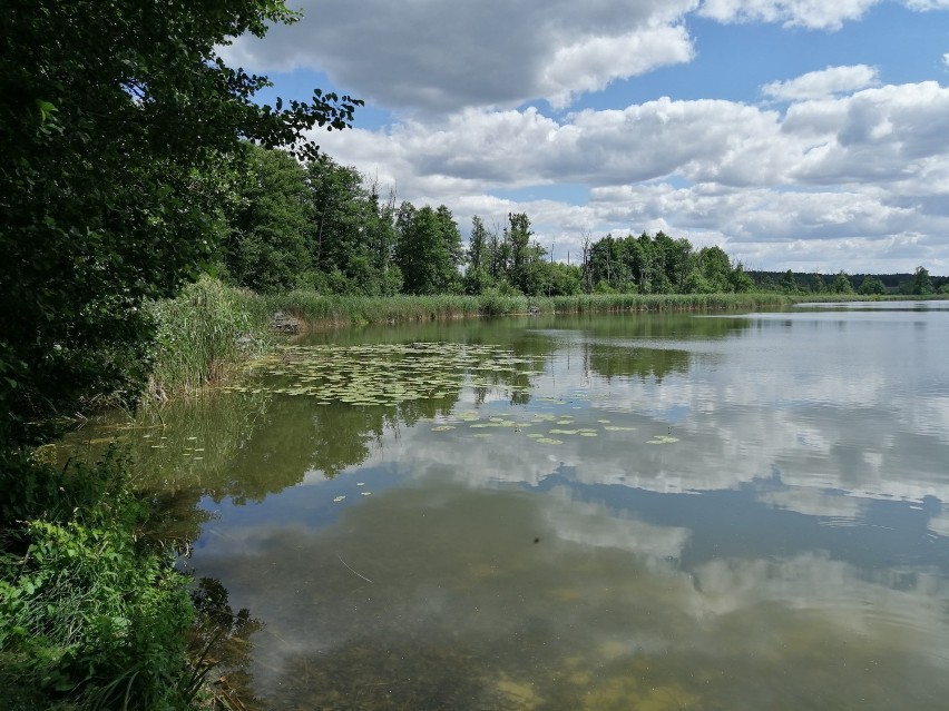 Urokliwe Jezioro Cegielniane w Pszczewie. Tu znajdziesz ciszę i wytchnienie