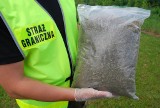 Hrubieszów: Strażnicy graniczni znaleźli marihuanę przy drodze