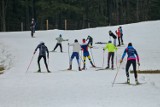W Zakopanem zamek śnieżny zamienił się w trasę do narciarstwa biegowego. Jest to ostatnia dostępna trasa w Polsce