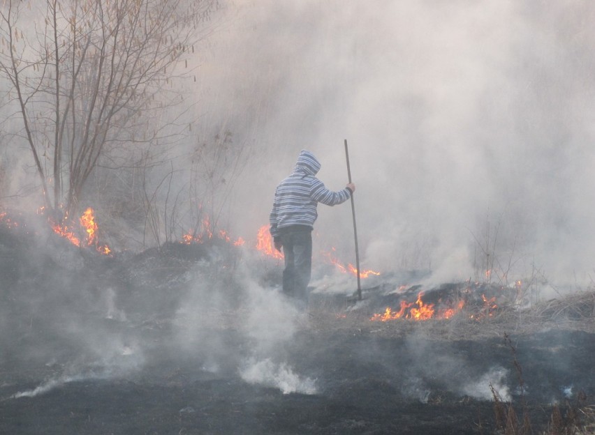 Ul. Janowska: Pożar traw przy ścieżce rowerowej