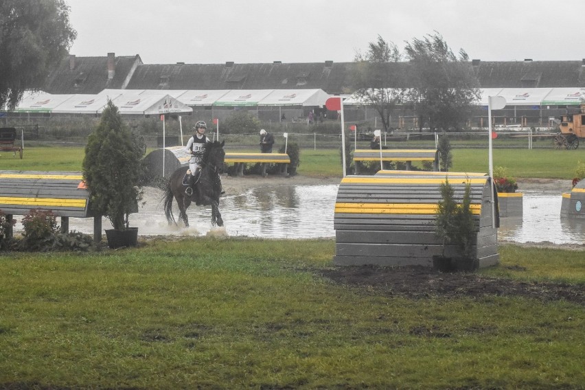 Gm. Szamotuły. Trwają zawody konne LOTTO Baborówko Horse Sale Show [ZDJĘCIA]