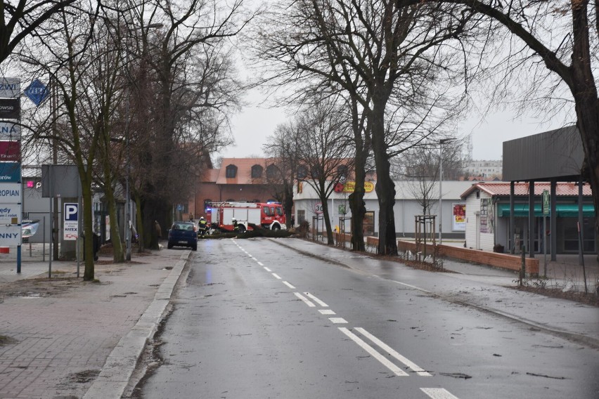 Wichura w powiecie pleszewskim. Strażacy mają ręce pełne pracy. Zerwane dachy i powalone drzewa. Intensywna dzień dla strażaków