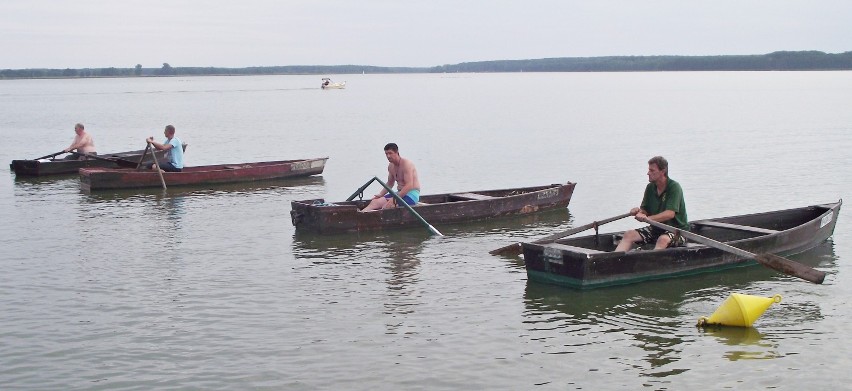 Wyścigi łodzi wiosłowych, na jeziorze Błędno w Zbąszyniu