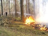 Pożar lasu koło Jeleńca w gminie Skwierzyna. Tak poważny, że do akcji wezwano samoloty [ZDJĘCIA]