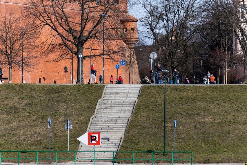 Las znaków pod Wawelem