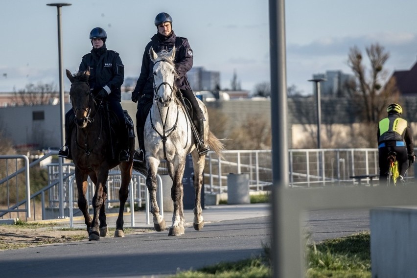 Patrol policji konnej nad Wartą w Poznaniu