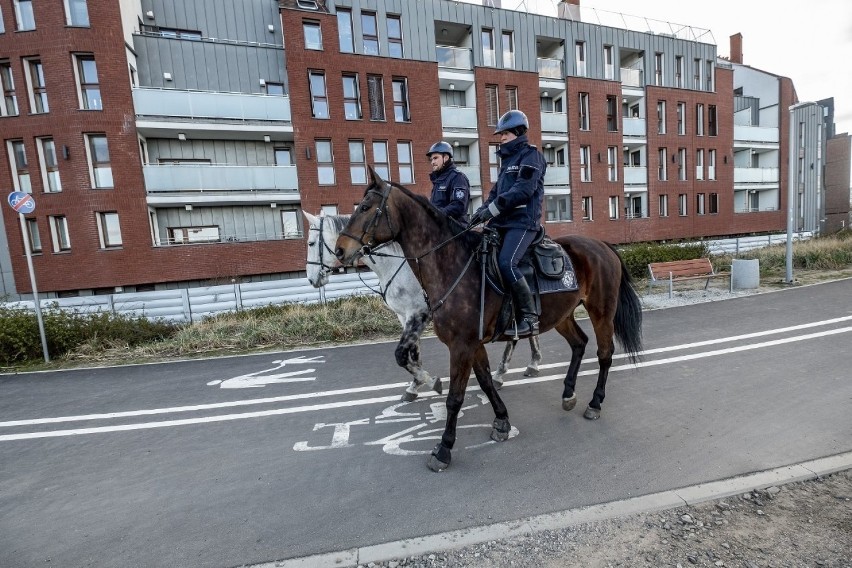 Patrol policji konnej nad Wartą w Poznaniu