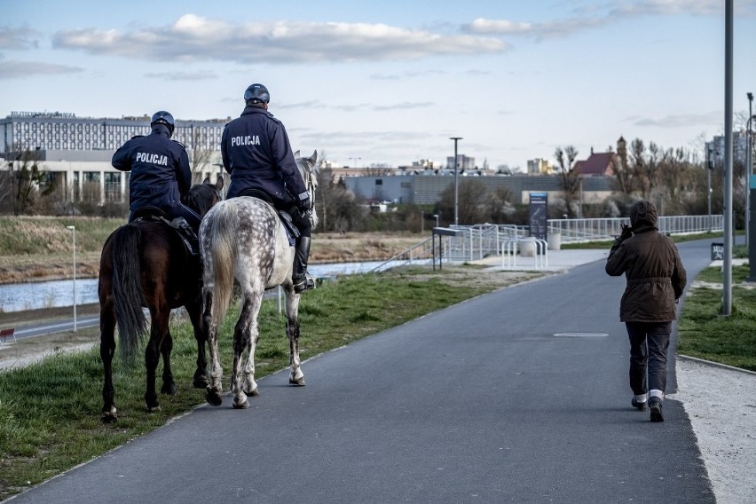 Patrol policji konnej nad Wartą w Poznaniu