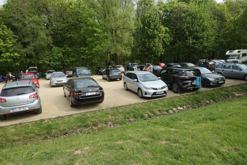 Tłumy w Myśliborzu, na leśnym parkingu brak miejsc! Ludzie mają dość izolacji [ZDJĘCIA]