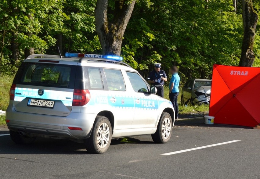 Śmiertelny wypadek w Czarnej Wodzie. Czołówka na drodze. Zginął kierowca samochodu [zdjęcia]