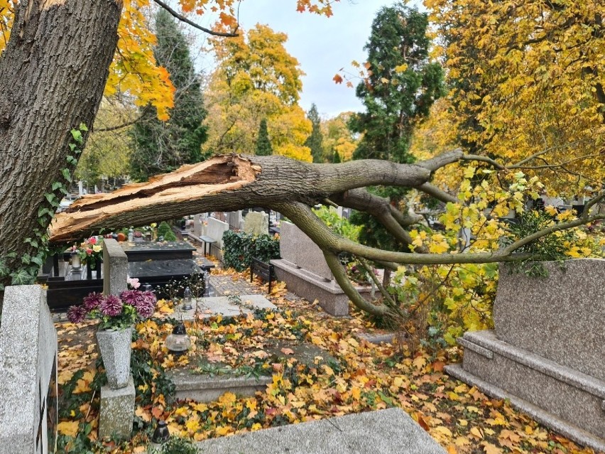 Na zdjęciu - Skutki wichury na cmentarzu przy ul....