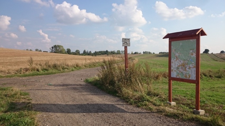 Oznakowanie tras rowerowych w Tarnowskich Górach