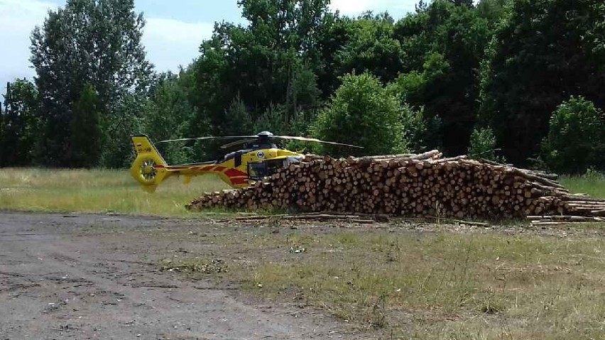 - Auto uderzyło w drzewo - mówi podkom. Lidia Kowalska. -...