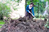 Kraków. Wiosenne porządki z bezpłatnym odbiorem liści i rozdrobnionych gałęzi