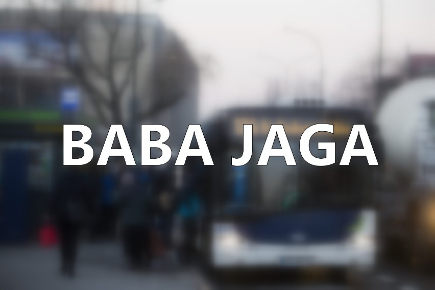 Baba Jaga postraszy dzieci w drodze do krakowskiego ZOO