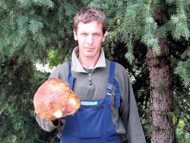 Tomasz Majchrzak z Przybysławia natrafił w miejscowym lesie na zdrowego prawdziwka o wadze 900 gramów i obwodzie kapelusza 80 centymetrów!