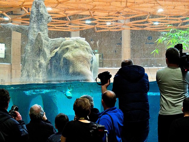 W tym roku zorganizowane będą półkolonie w Orientarium Zoo. 