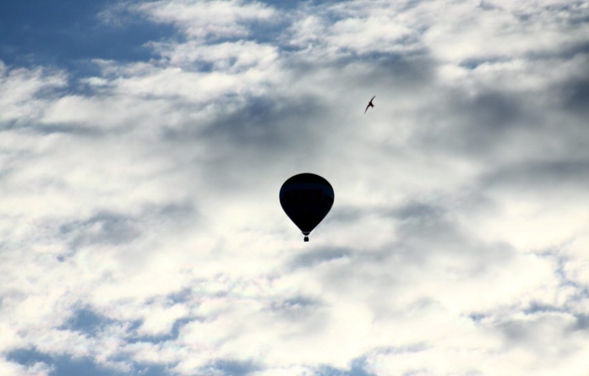 Balony nad Lublinem. Widowiskowa akcja nad miastem. Zobacz zdjęcia