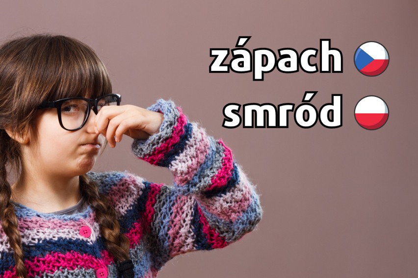 Czeskie memy robią furorę w internecie. Język czeski kopalnią memów. Dlaczego nas bawi? Nie da się go nie lubić