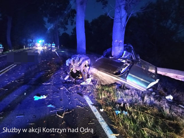 Samochód osobowy uderzył w drzewo między Kostrzynem a Słońskiem. Zginęły trzy osoby.
