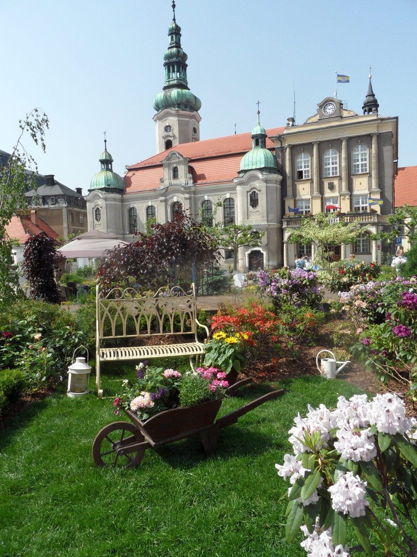 Daisy Days 2014. Ogrody Daisy już na rynku w Pszczynie [ZOBACZ ZDJĘCIA]