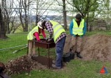 Nowy Sącz. Rozpoczął się kolejny etap prac archeologicznych na nowosądeckim zamku. Jaka jest szansa na rekonstrukcję obiektu?