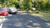 Tragiczny wypadek w Wielkopolsce. Pijany kierowca wjechał w rowerzystów. Mężczyzna usłyszał zarzuty