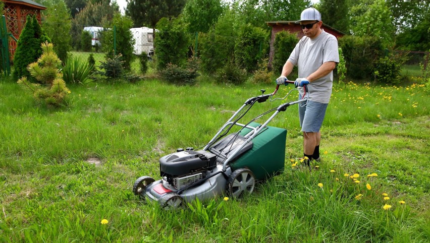 Koszenie trawy bez błędów! Jak często kosić trawnik i jak wysoko? Czy można  kosić mokrą trawę? Sprawdź, o co zadbać, aby mieć piękny trawnik |  RegioDom.pl
