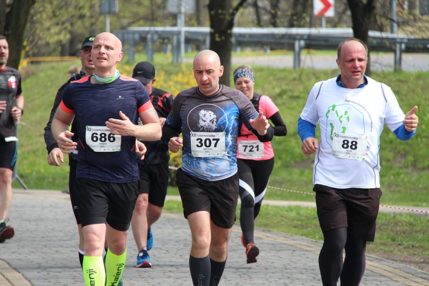 Półmaraton Dąbrowski 2019: prawie 1250 zawodników na trasie...