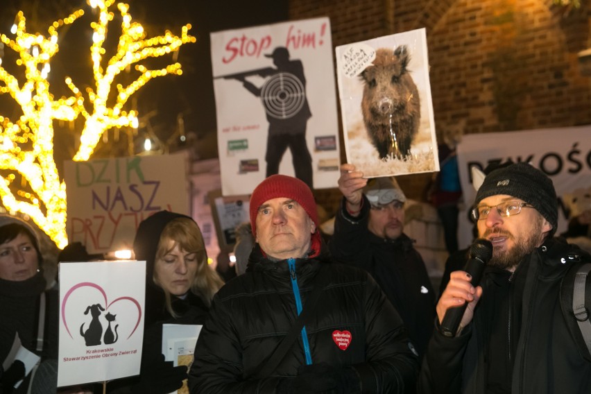 Dziki protest w obronie dzików w Krakowie. "Dzik czuje, tak...