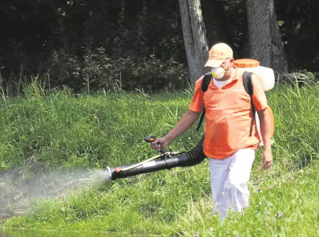 Walka z dorosłymi już osobnikami polega na odymianiu specjalnym środkiem. Jest on skuteczny do tygodnia, jeśli nie spadnie deszcz