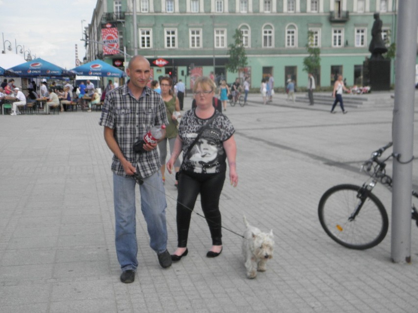 Aleja Dobrego Smaku w Częstochowie. Festiwal Sztuki...