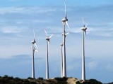 Duża elektrownia wiatrowa powstanie na Podlasiu