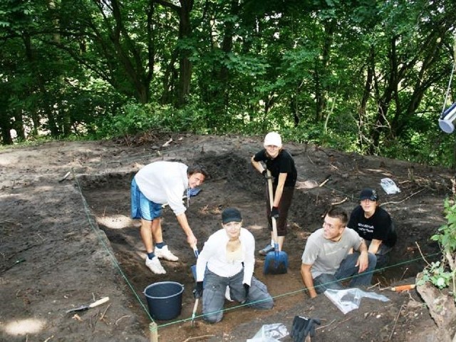 Badania w Starorypinie prowadzone są od 2007 roku