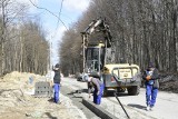 Przebudowa drogi przez Puszczę Niepołomicką. Koniec prac latem 2021 [ZDJĘCIA]