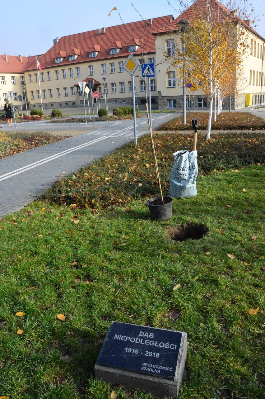 Myślenice. Uczniowie "dwójki" zasadzili dąb niepodległości