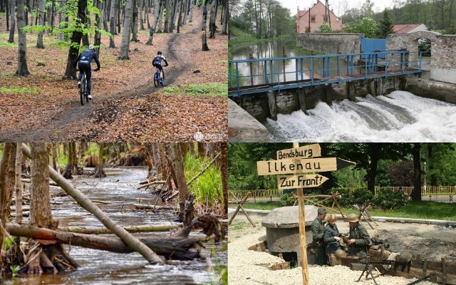 Dąbrowa Górnicza ma do zaoferowania naprawdę wiele atrakcji. Jeziora, parki, leśne dukty, wzgórza, mnóstwo ścieżek rowerowych, a także coś historycznego...