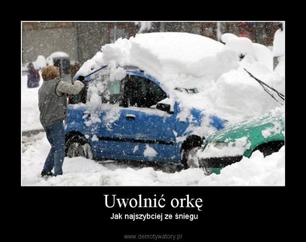 Oto najfajniejsze memy o zimie. W Polsce sypnęło białym puchem więc czas na najlepsze memy. Tak Internauci śmieją się z nadchodzącej zimy