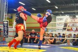 Karate, tajski boks i mieszane sztuki walki. Na FIT Weekendzie w Kielcach nie brakuje rywalizacji w sportach siłowych