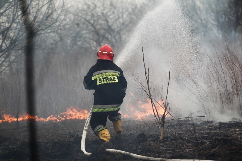 Siedem zastępów straży pożarnej brało udział w gaszeniu...