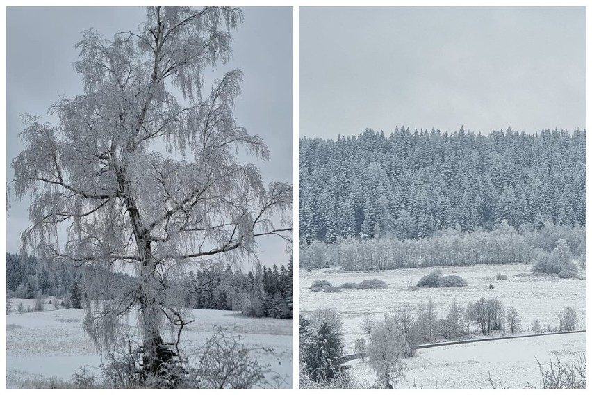 Piękna Ziemia Limanowska w zimowej szacie. Zdjęcia mówią same za siebie  