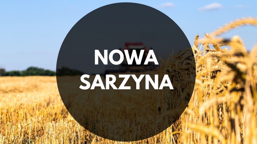 NOWA SARZYNA - 25,6%...