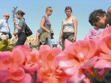Kwiaty z Łosiowa od 10 lat trafiają do opolskich domów