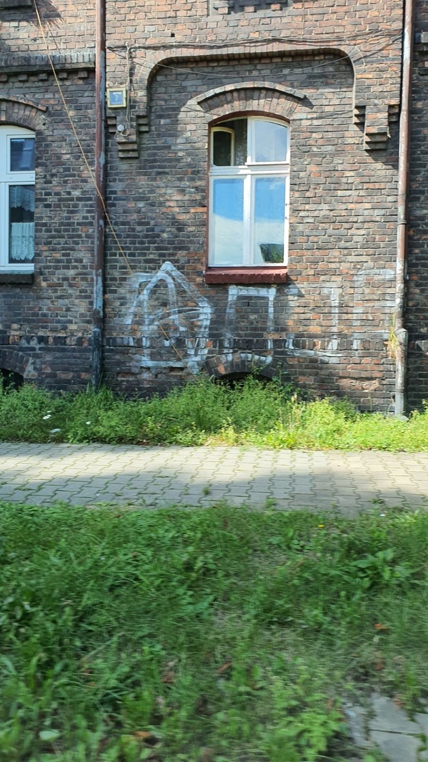 Przykłady nielegalnych kibicowskich graffiti w dzielnicach...