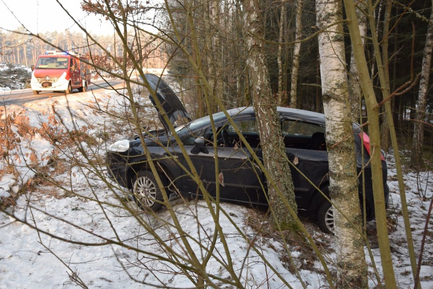 Wypadek koło Szczecinka. Auto wjechało w las