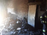 Sadów: w kotłowni zakładu tapicerskiego wybuchł pożar. Interweniowało aż 13 zastępów strażackich i śmigłowiec LPR ZDJĘCIA