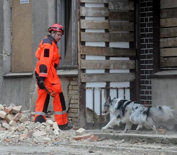 Gruzowisko sprawdzili ratownicy i psy z grupy poszukiwawczej z Poznania