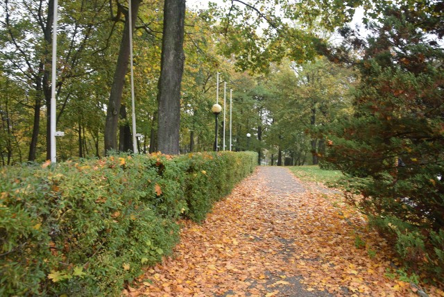 Jesień w stargardzkich parkach