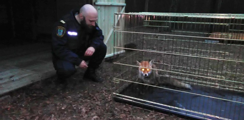 Wszystko wydarzyło się w poniedziałek, 29 stycznia, w...