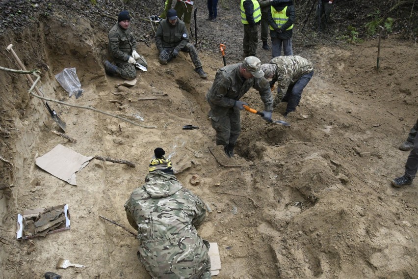 We wsi Męczennice w powiecie opatowskim odnaleziono szczątki samolotu z II Wojny Światowej. Odkryto też ciało pilota (ZDJĘCIA, WIDEO)